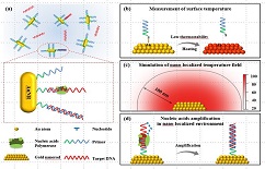 Researchers at Xi'an Jiaotong University have made important progress in ultrafast nucleic acid amplification