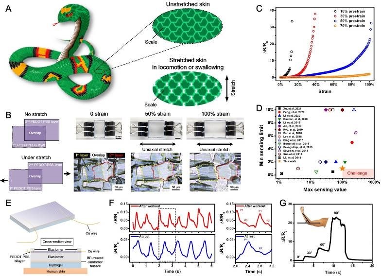 XJTU makes breakthrough in flexible devices, intelligent flexible sensing