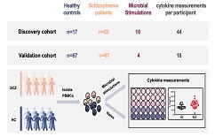 XJTU studies relation between schizophrenia and immunity system