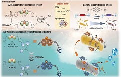 XJTU makes progress in bacteria-triggered solar hydrogen production