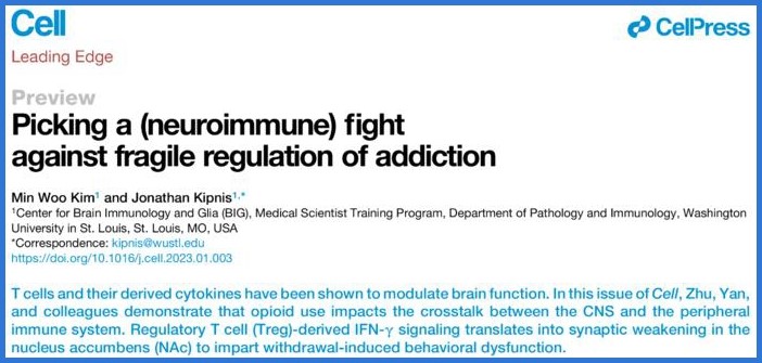 XJTU research enlightens opioid addiction treatment