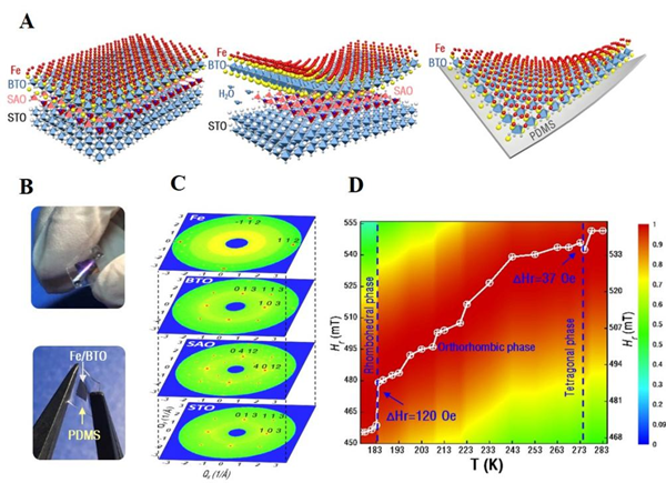XJTU makes significant progress in the research of ultraflexible multiferroic composite films