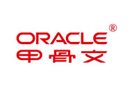 Oracle Technical Talent Base