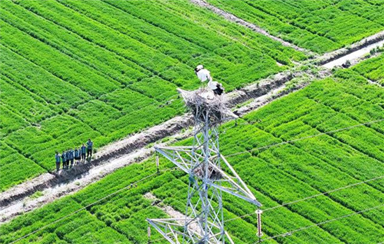 1762931363594049855.jpg 1712912578254080099_副本.jpg