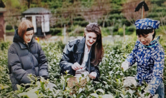 1762931869044012787.png 1712655268949005870_副本.png