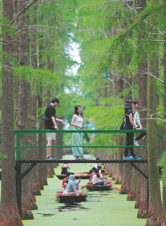 1762936884566062216.jpg 66762dd1a3106652a11826d0_副本.jpg