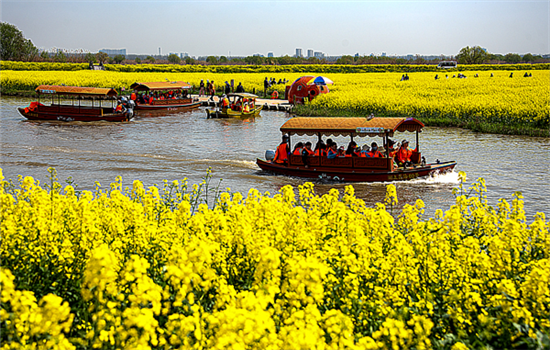 1763000760700008384.png 图片1_副本.png