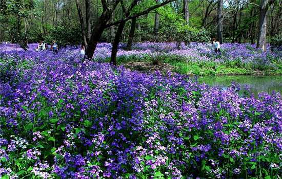 1763000786259046627.png 图片2_副本.png