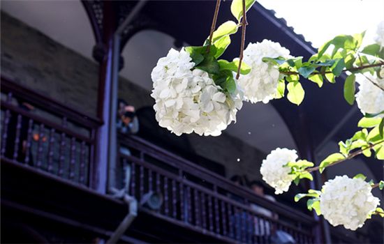 1763000824510002557.png 图片3_副本.png