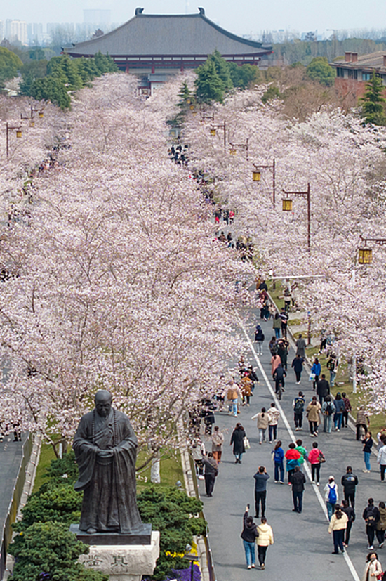 1763000855995035946.png 图片4_副本.png