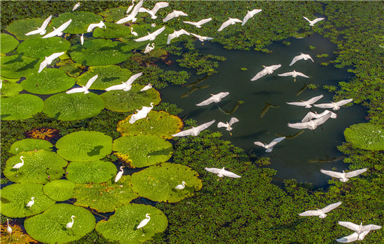 1763459673335081437.jpg 901c99b6aa304e2883c686c4ad7bd6fa_副本.jpg