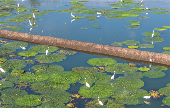 1763459690584045504.png 图片4_副本.png