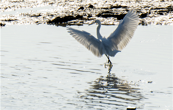 1763461327023052017.png 图片7_副本.png