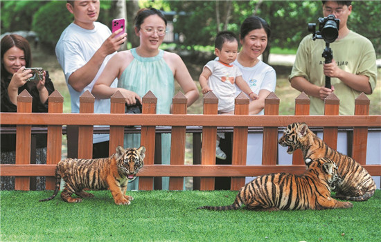 1763461606876044221.jpg 66ac199fa3104e74e4a6d757_副本.jpg