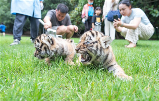 1763461654469043258.png 图片2_副本.png