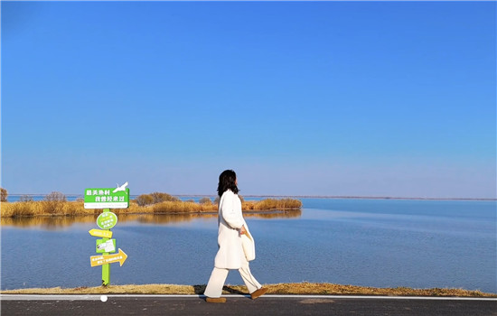 1768876674573079318.jpg c9c45f93234f00830cf4c23411da1b6c_副本.jpg