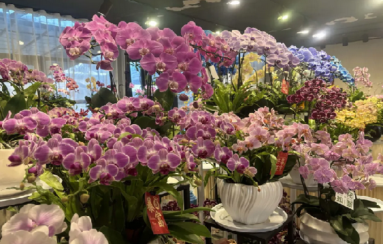 1769771327424085060.png 图片4_副本.png