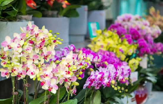 1769771353581082095.png 图片6_副本.png