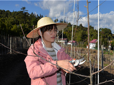 YNU moves to boost rural revitalization