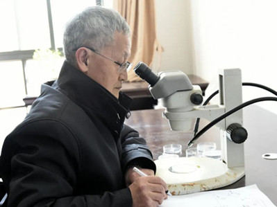 Yunnan University professor contributes to science, society