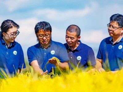 YNU research into perennial rice honored by journal Science