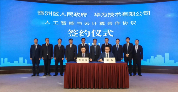 1559525800877060553.jpg 1.webp_w.jpg