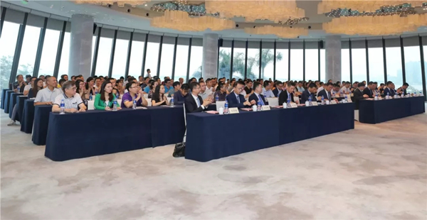 1559525817367030030.jpg 2.webp_副本.jpg