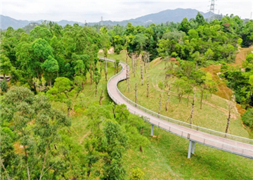 Boarded mountain trail opens at Xiangshan Lake Park