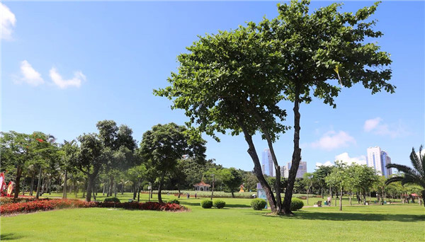 Zhuhai proudly adds more inviting, verdant free parks