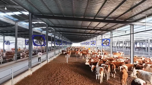 HuiniuCloud Technology: Empowered by AI to 'raise' cattle in office buildings