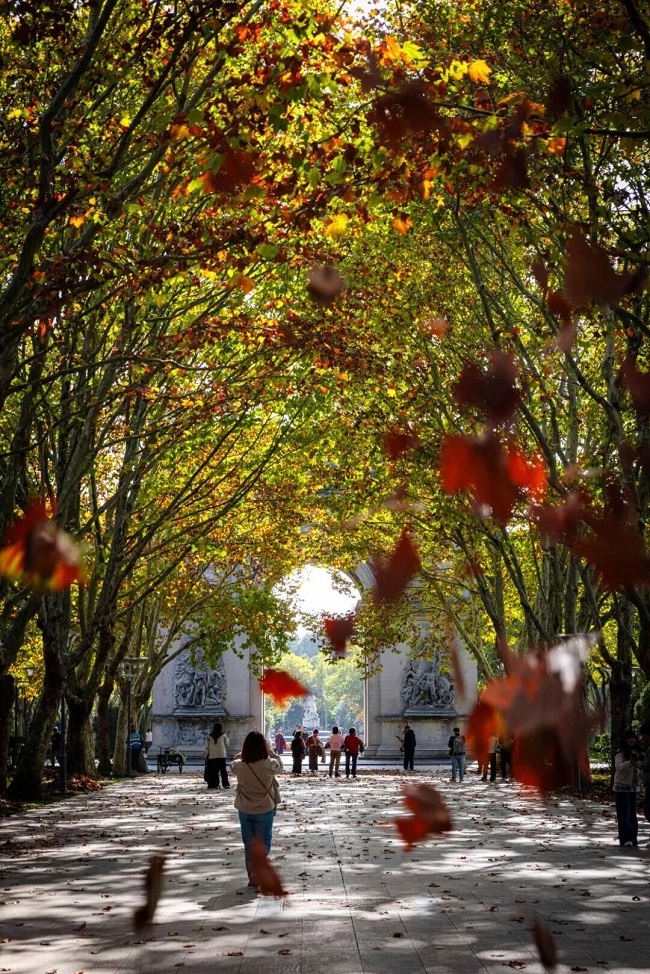 1766628171130009166.jpg 蠡湖中央公园.jpg