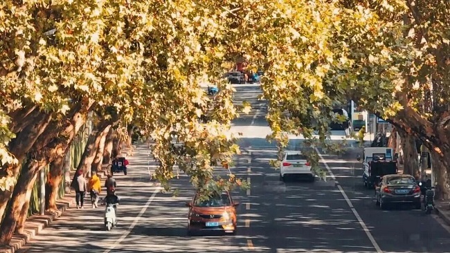 1766628192046049167.jpg 石门路.jpg