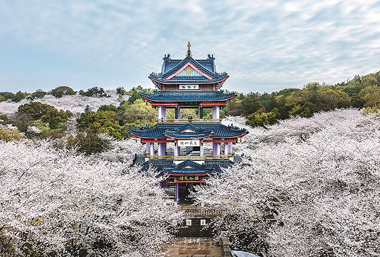 Wuxi blossoms culturally and economically