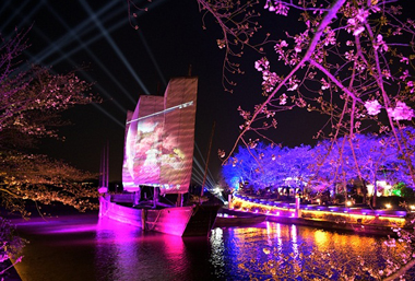 View cherry blossoms at night in Yuantouzhu
