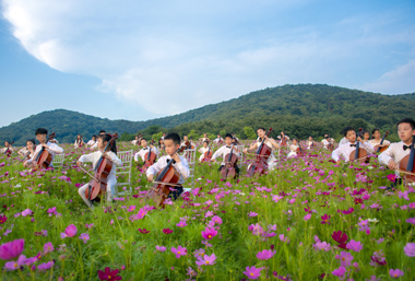 Summer flowers adorn Nianhuawan