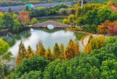 Wuxi wetland park transforms into autumn wonderland