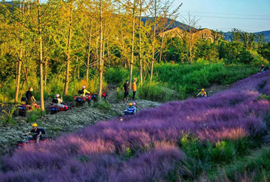 Flower Planet most popular destination in Wuxi during holiday