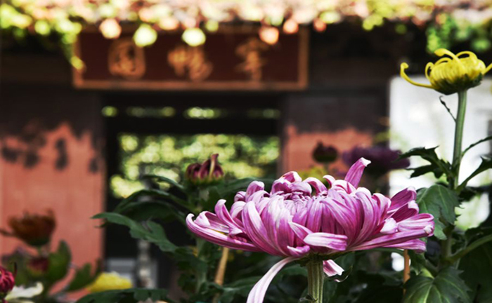Wuxi's Huishan offers lovely autumn views