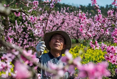 Wuxi's 3 towns win provincial title for rural tourism