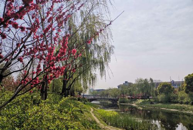 Liangtang River Wetland Park to open