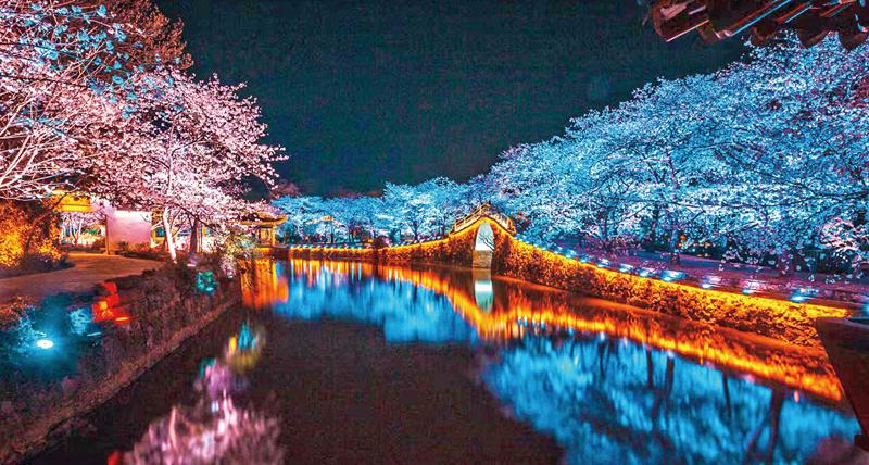 ​Time to admire cherry blossoms in Wuxi