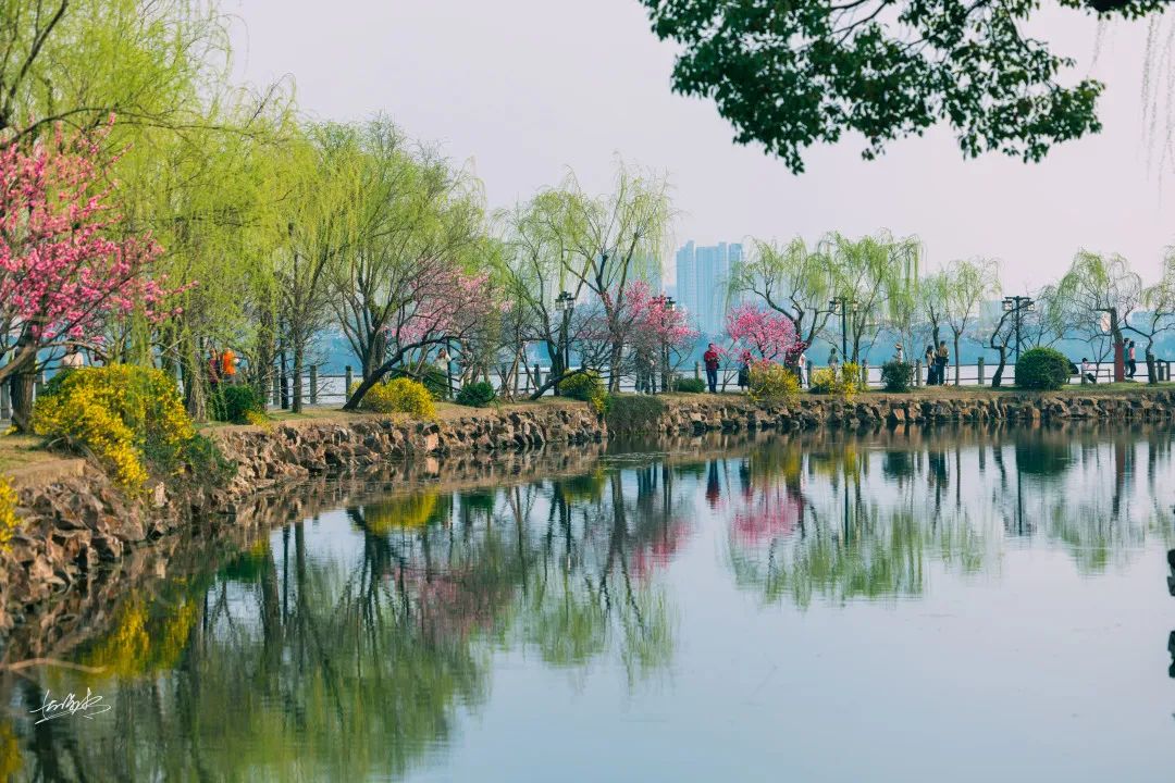 An open letter to foreign friends in Wuxi