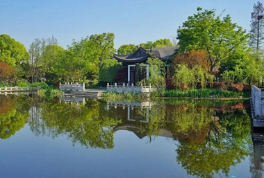 Tour Tangping Lake Wetland Park to keep cool amid summer heat