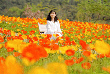 Feast on stretches of flowers in Wuxi
