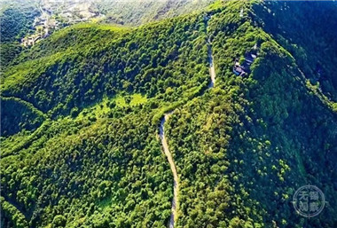 Wuxi to build two provincial-level forest footpaths