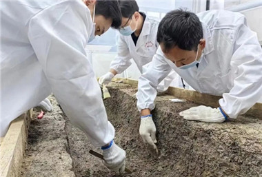 Major archaeological discoveries revealed in Wuxi