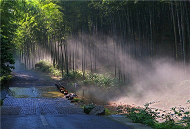 Yixing upgrades Shanjuan Cave, bamboo forest