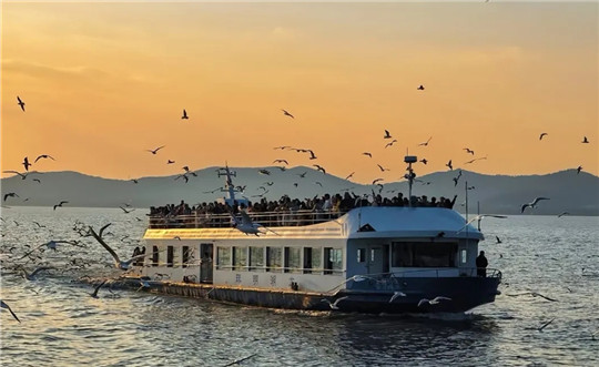 Witness black-headed gulls in Yuantouzhu scenic area