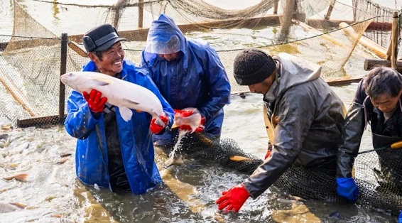 Ganlu black carp, Yangshan honey peach win national recognition