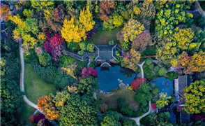 Video: Autumn scenery in Wuxi